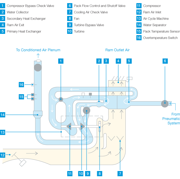 Figure 2A